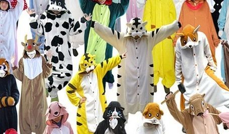 Release party: (Party) Animals