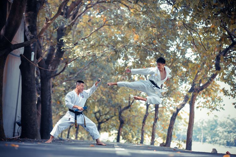 Karate lessons during quarantine